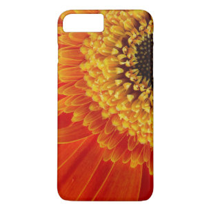Etui iPhone Case-Mate Image Orange Yellow Sun Flower