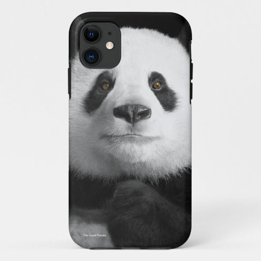 Coques Case-Mate iPhone Image Panda pour iPhone-5-5S-Barely-There (Dos)