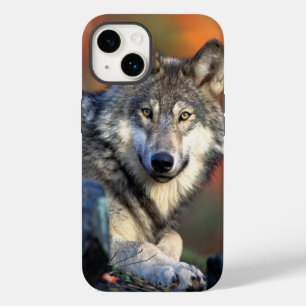 Coque Pour iPhone 14 Image Wolf