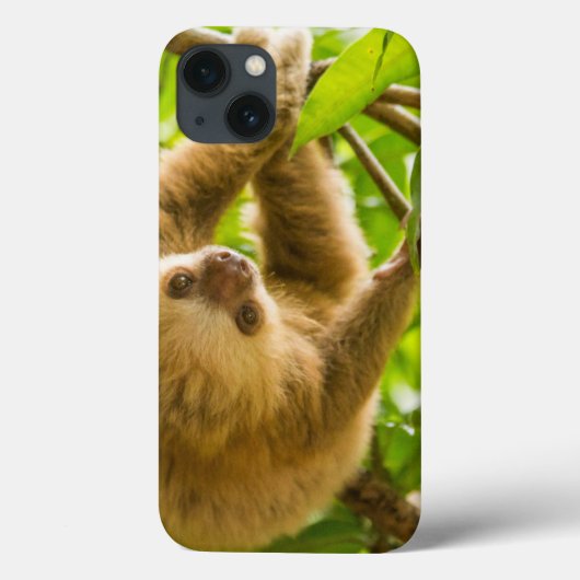 Coques Case-Mate iPhone Images Getty | Derrière (Verso)