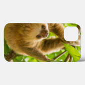 Coques Case-Mate iPhone Images Getty | Derrière (Verso (horizontal))