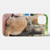 Coques Case-Mate iPhone Images Getty | Deux chatons sur un balcon (Verso (horizontal))