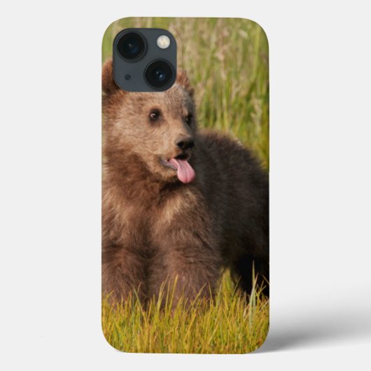 Coques Case-Mate iPhone Images Getty | Drôle bébé ours (Verso)