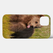 Coques Case-Mate iPhone Images Getty | Drôle bébé ours (Verso (horizontal))