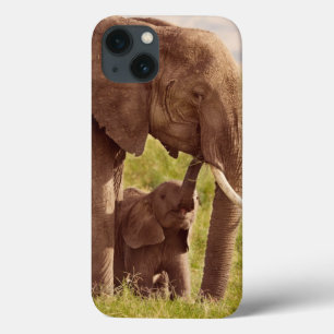 Etui iPhone 13 Images Getty Elephant & bébé
