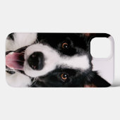 Coques Case-Mate iPhone Images Getty | Une Collie frontalière souriante (Verso (horizontal))