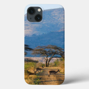 Coques Pour iPhone Impala (Aepyceros Melampus), Hluhluwe-Umfolozi