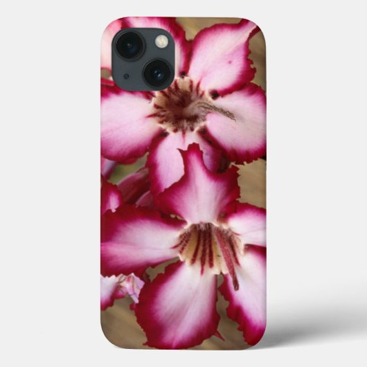 Coques Case-Mate iPhone Impala Lily (Adenium Multiflorum), Kruger (Verso)