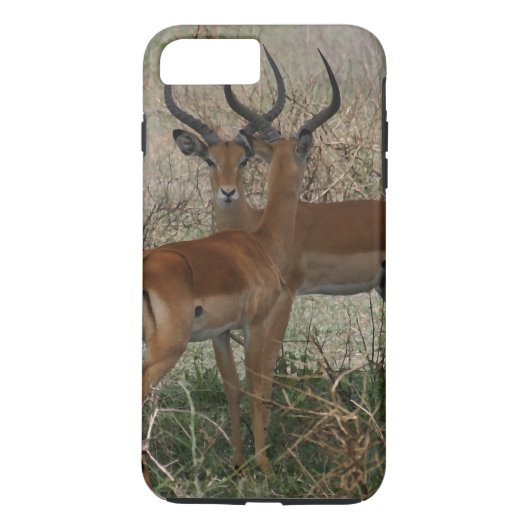 Coques Case-Mate iPhone Impalas sur le Serengeti (Dos)