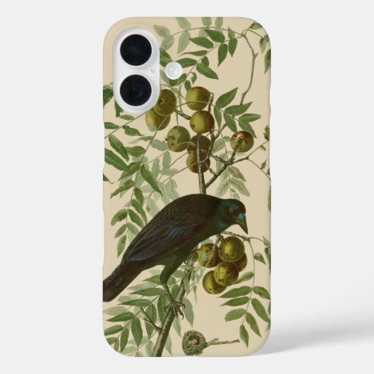 Coques Case-Mate iPhone Impression d'oiseau Grackle violet d'Audubon Botan (Verso)