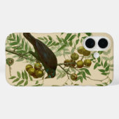 Coques Case-Mate iPhone Impression d'oiseau Grackle violet d'Audubon Botan (Verso (horizontal))