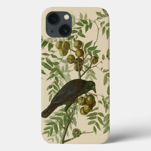 Coques Case-Mate iPhone Impression d'oiseau Grackle violet d'Audubon Botan (Verso)