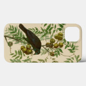Coques Case-Mate iPhone Impression d'oiseau Grackle violet d'Audubon Botan (Verso (horizontal))