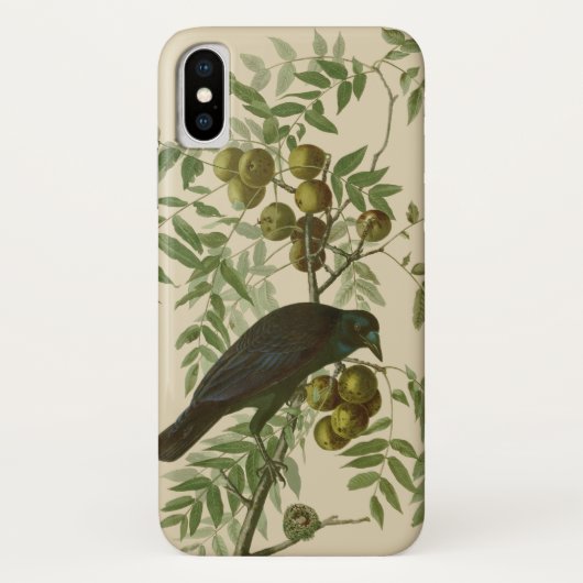 Coques Case-Mate iPhone Impression d'oiseau Grackle violet d'Audubon Botan (Dos)