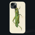 Etui iPhone 13 Impression encadrée de sauterelles vertes<br><div class="desc">Cette impression bordée de chaux présente une sauterelle verte sur un arrière - plan crème. Un original de Vision Studio,  cela ferait un grand cadeau pour l'insecte ou amoureux de la nature dans votre vie!</div>