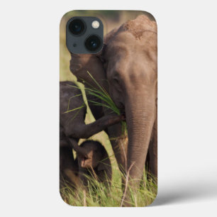 Etui iPhone Case-Mate Indian Asian Elephant Family in the Savannah