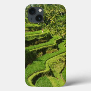 Case-Mate iPhone Case Indonésie, Bali Rizières