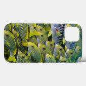 Coques Case-Mate iPhone Indonésie. Bancs de poissons (Verso (horizontal))