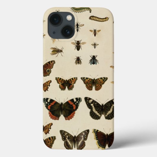 Coques Case-Mate iPhone Insectes de jardin par Vision Studio (Verso)