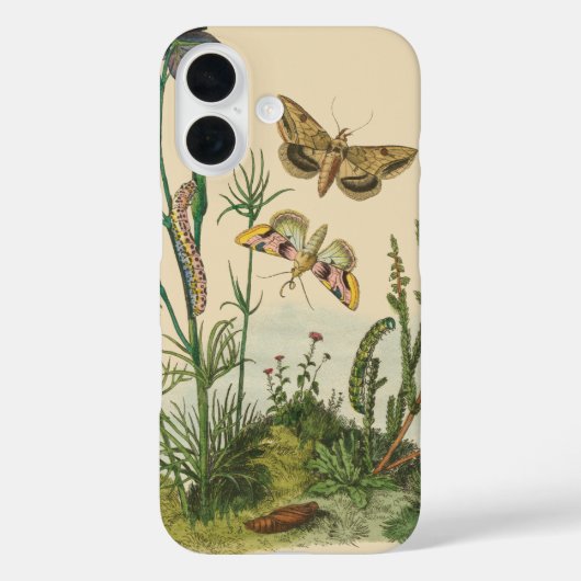 Coques Case-Mate iPhone Insectes de jardin vintage, papillons, chenilles (Verso)