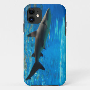 Coque iPhone 11 IP de modèle de qpc de l'iphone 5 à peine là -