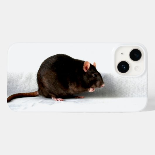 Coques Case-Mate iPhone Iphcna rat (Verso (horizontal))