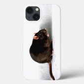 Coques Case-Mate iPhone Iphcna rat (Verso)