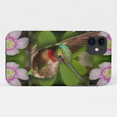 Coques Case-Mate iPhone iphone4 cas - colibri en fleur (Dos (Horizontal))