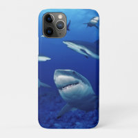 iPhone 11Pro - Requins Coques  