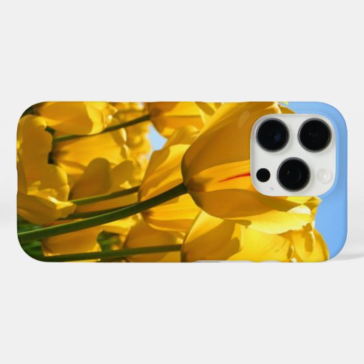 COQUES Case-Mate iPhone IPHONE 16 PRO (Verso (horizontal))