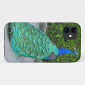 Coques Case-Mate iPhone iPhone 5 Coque, "Proud Peacock" (Dos (Horizontal))