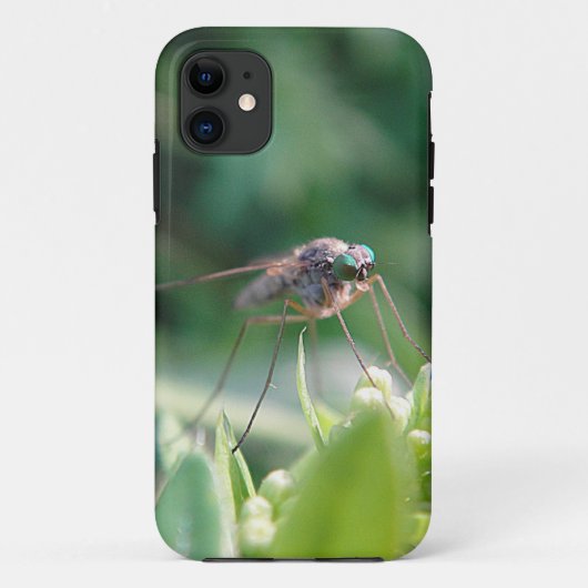 Coques Case-Mate iPhone iPhone 5 Hülle grosse Mücke (Dos)