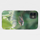 Coques Case-Mate iPhone iPhone 5 Hülle grosse Mücke (Dos (Horizontal))