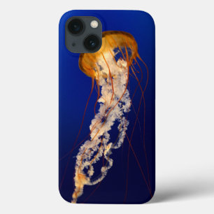 iPhone 13 Case iphone 6 case