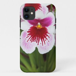 Coque Case-Mate Pour iPhone iPhone graphique 5case de photo d'iris élégant
