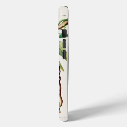 Coques Case-Mate iPhone iPhone / iPad ケース (Verso / Gauche)