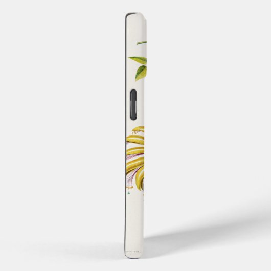 Coques Case-Mate iPhone iPhone / iPad ケース (Verso / Droite)