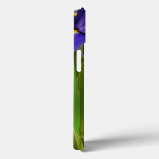 Coques Case-Mate iPhone Iris flowers (Verso / Droite)