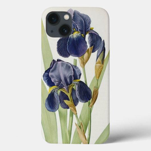 Coques Case-Mate iPhone Iris Germanica, de "Les Liliacees", 1805 (Verso)