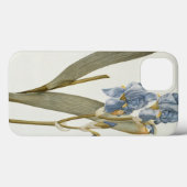 Coques Case-Mate iPhone Iris Pallida, de `Les Liliacées', 1812 (Verso (horizontal))