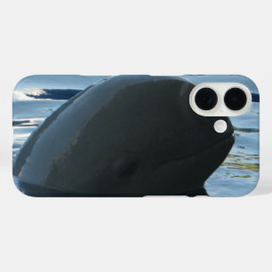 Coques iPhone 16 Irrawaddy Dolphin Peek-A-Boo