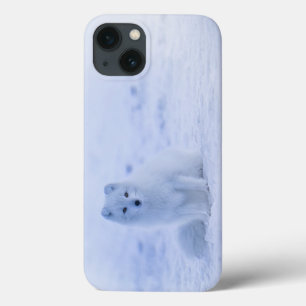 Etui iPhone Case-Mate Islande Renard arctique