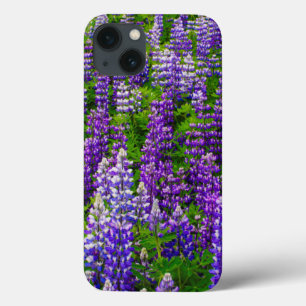Coques Pour iPhone Islande. Vik i Myrdal. Champ de lupins