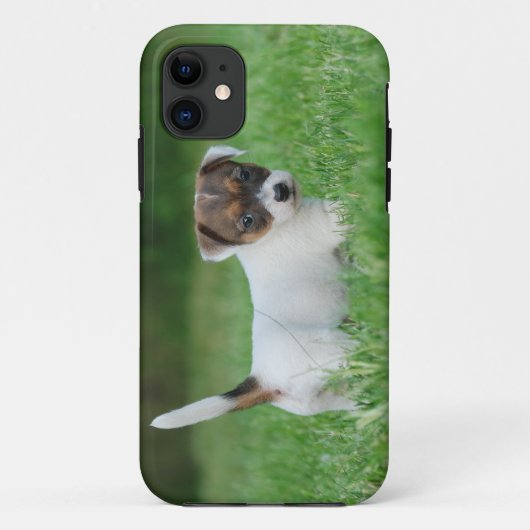 Coques Case-Mate iPhone Jack Russell Terrier puppy (Dos)