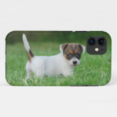Coques Case-Mate iPhone Jack Russell Terrier puppy (Dos (Horizontal))