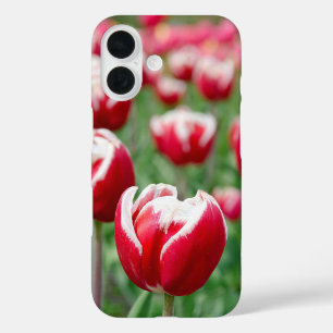 Coques iPhone 16 Jardin néerlandais de Tulip