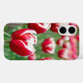 Coques Case-Mate iPhone Jardin néerlandais de Tulip (Verso (horizontal))