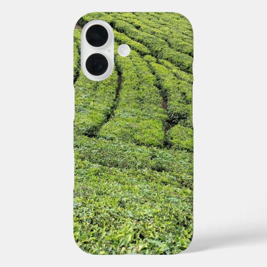 Coques Case-Mate iPhone Jardins de thé de Munnar sur boîtier Apple Iphone (Verso)
