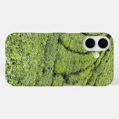 Coques Case-Mate iPhone Jardins de thé de Munnar sur boîtier Apple Iphone (Verso (horizontal))