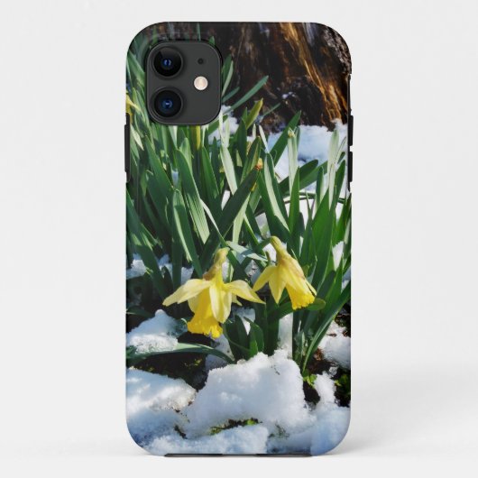 Coques Case-Mate iPhone Jaune Daffodils fleurs dans la neige (Dos)
